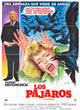 The Birds Movie Poster Print featuring iconic film artwork.