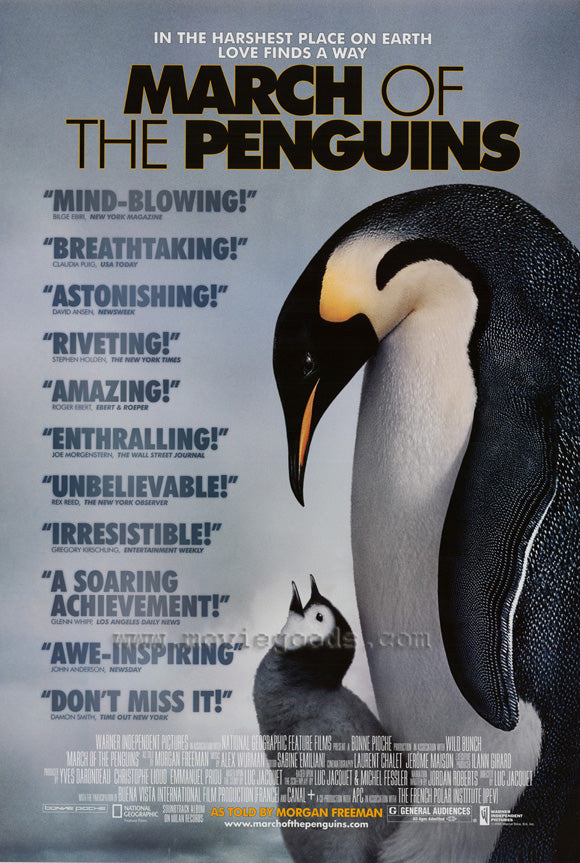 March of the Penguins Movie Poster Print showcasing emperor penguins in Antarctica.