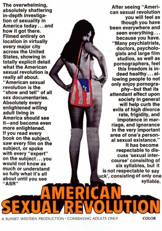 American Sexual Revolution Movie Poster Print (11x17)