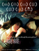 Butterfly Movie Poster Print featuring a beautiful butterfly design.