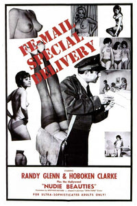 Fe-mail Special Delivery Movie Poster Print showcasing vibrant graphics.