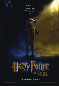 Harry Potter and the Chamber of Secrets Movie Poster Print (11x17)