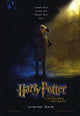 Harry Potter and the Chamber of Secrets Movie Poster Print (11x17)