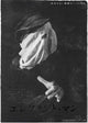 The Elephant Man Movie Poster Print showcasing the iconic film.