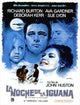 The Night of the Iguana Movie Poster Print (11x17)