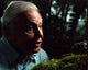 David Attenborough with Frog on Moss Photo Print showcasing wildlife.