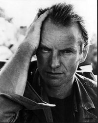 Black and white photo print of Sting with hand on head, 8x10