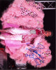 Liberace Iconic Pink Feather Outfit Signature Photo Print