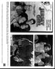 Jersey Girl movie DVD ad black and white photo print