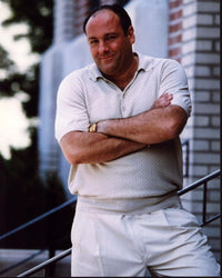 James Gandolfini in Tan Polo - The Sopranos Photo Print (8x10)
