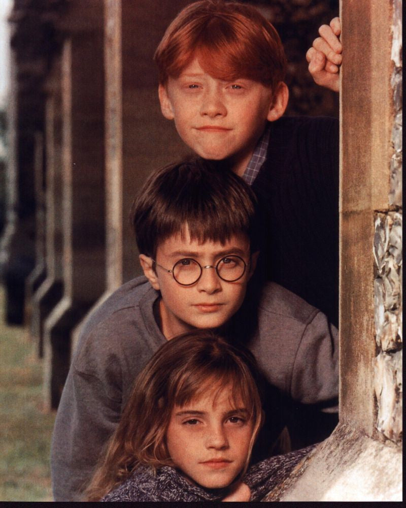Harry Potter and the Sorcerer's Stone Photo Print featuring Rupert Grint, Daniel Radcliffe, and Emma Watson (8x10)