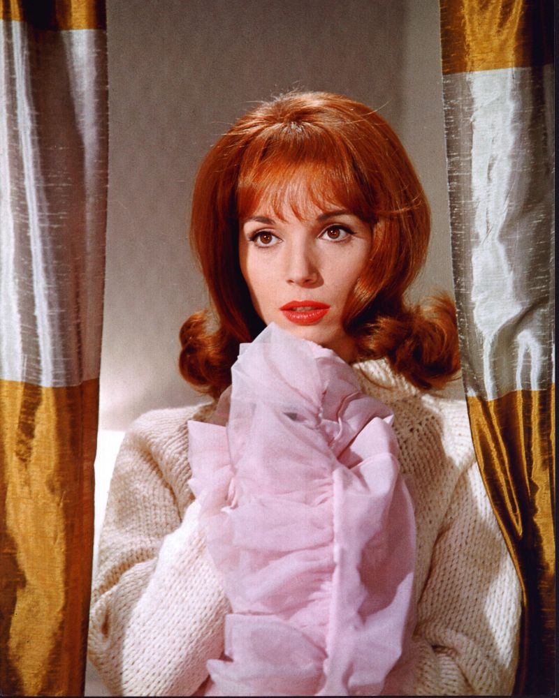 Elsa Martinelli photo print behind gold and white curtains.