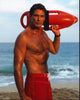 David Hasselhoff Baywatch Photo Print with Lifeguard Float (8x10)