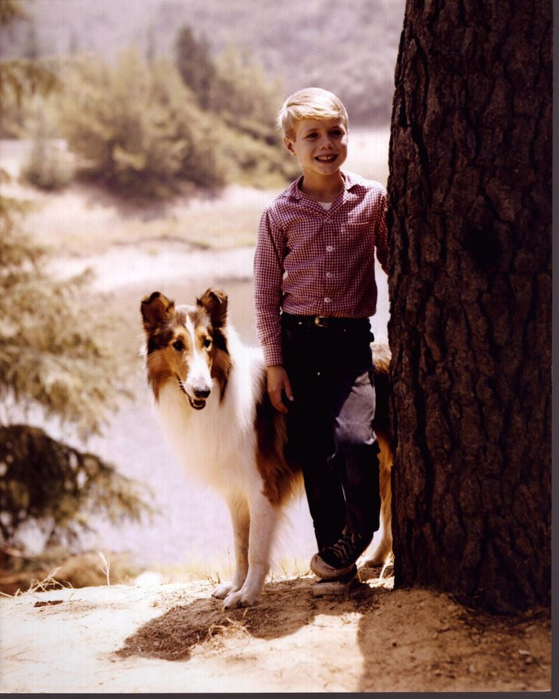 Jon Provost and Lassie Photo Print Next to Tree (8x10)