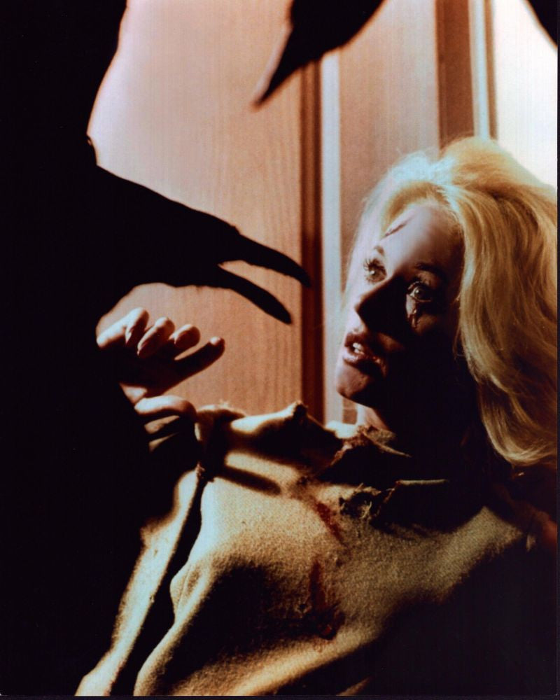 Tippi Hedren Photo Print from The Birds - 8x10 Size