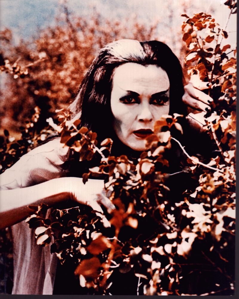 Yvonne De Carlo as Lily Munster photo print from The Munsters.