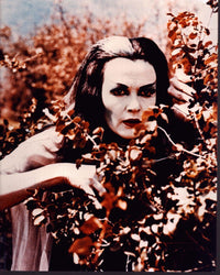 Yvonne De Carlo as Lily Munster photo print from The Munsters.