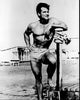Steve Reeves shirtless black and white photo print, showcasing classic cinema.