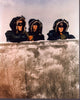 Scene From Voyage To The Bottom Of The Sea Photo Print (8x10)