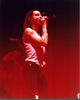 Dave Gahan On Stage Photo Print - Available in Multiple Sizes