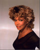 Tina Turner in Black Sheer Top Photo Print - 8x10