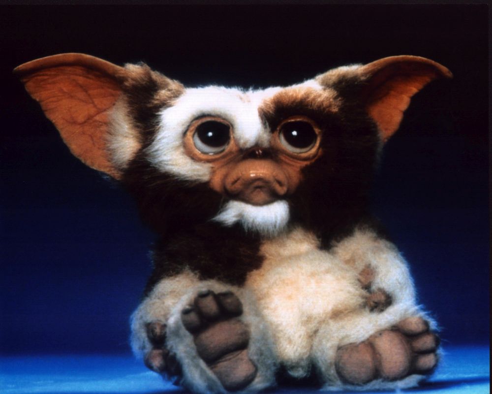 Gizmo Sad for Gremlins Photo Print capturing the beloved character.