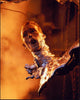Robert Patrick melted head scene photo print from Terminator 2: Judgment Day.