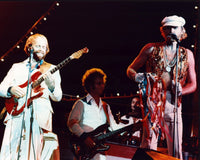 Beach Boys performing live on stage photo print
