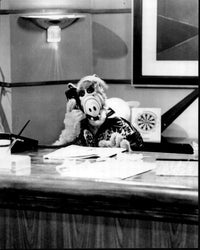 Alf at Desk on the Phone Black and White Photo Print