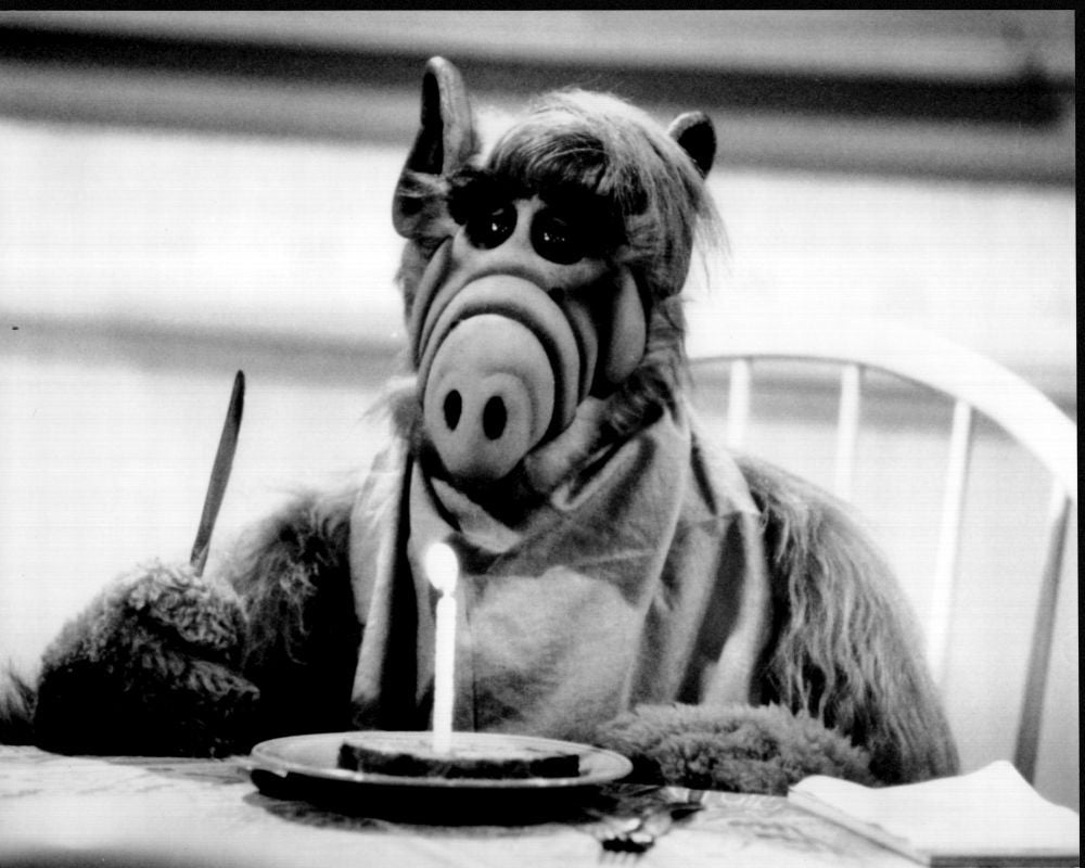 Alf with Birthday Cake Black and White Photo Print - 8x10
