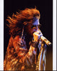 Steven Tyler Photo Print in Gold Top and Sunglasses (8x10)