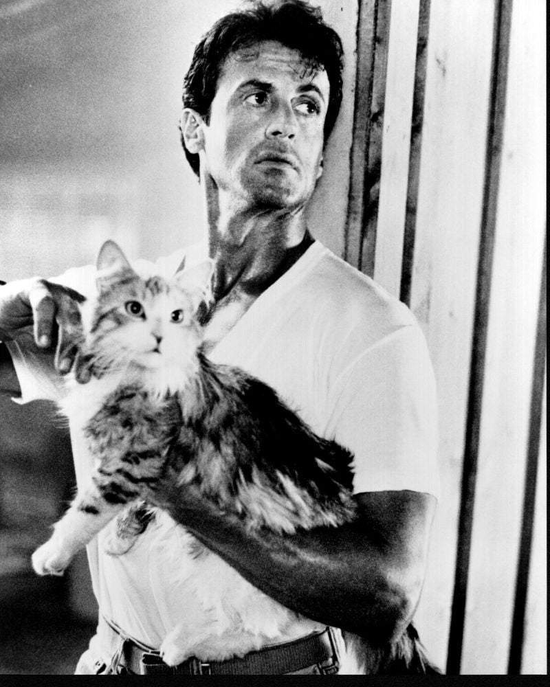 Sylvester Stallone Holding Cat in The Specialist Black and White Photo Print