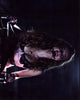 Bijou Phillips photo print from Hostel: Part II, 8x10