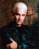 James Marsters as Spike in Leather Jacket - Buffy Photo Print
