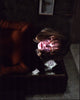 Madison Wolfe In The Conjuring 2 Photo Print showcasing horror film scene.