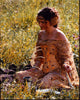 Natalie Portman Sitting in Grass - Star Wars: Episode II Photo Print