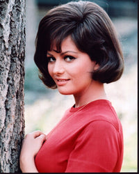 Claudia Cardinale leaning against a tree in a red top photo print.