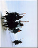 Scene from Planet of the Apes TV Show Photo Print