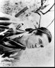 David Carradine in Kung Fu Black and White Photo Print