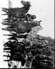 Black and white photo print of a scene from Planet of the Apes.