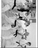 Black and white photo print from The Karate Kid movie scene.
