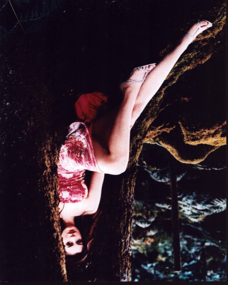 Anne Hathaway wearing a pink dress sitting in a tree photo print