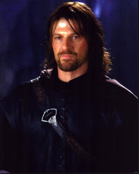 Sean Bean as Boromir in The Lord of the Rings: The Fellowship of the Ring Photo Print