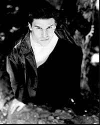 David Boreanaz black and white photo print in leather jacket.