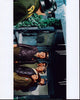 Hogan's Heroes Group Photo Print - Multiple Sizes Available
