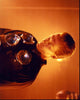 Robert Patrick as T-1000 in Terminator 2: Judgment Day Photo Print