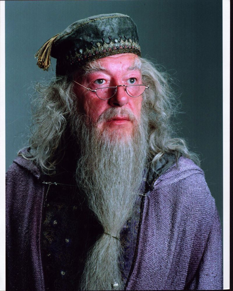 Michael Gambon Headshot Photo Print from Harry Potter and the Prisoner of Azkaban