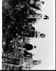 Pearl Jam On Tree Stumps Black and White Photo Print