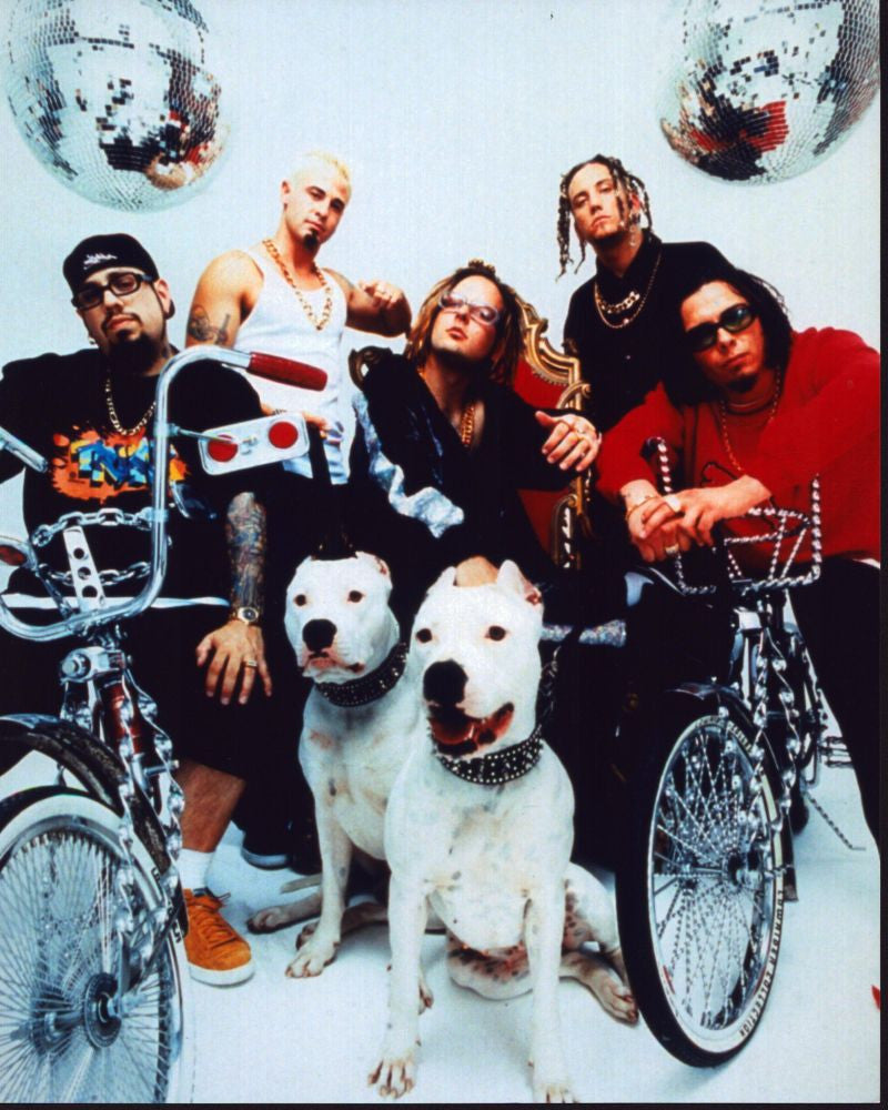 Korn Group With Two White Dogs Photo Print - Various Sizes