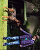Carlos and Josh Wiggins in Max - Photo Print